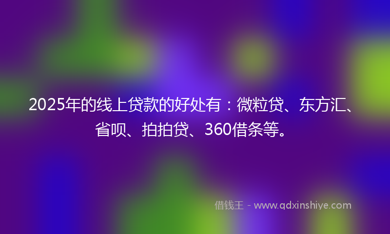 2025年的线上贷款的好处有：微粒贷、东方汇、省呗、拍拍贷、360借条等。