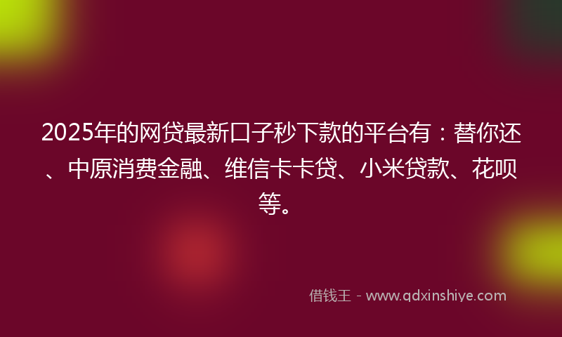2025年的网贷最新口子秒下款的平台有：替你还、中原消费金融、维信卡卡贷、小米贷款、花呗等。