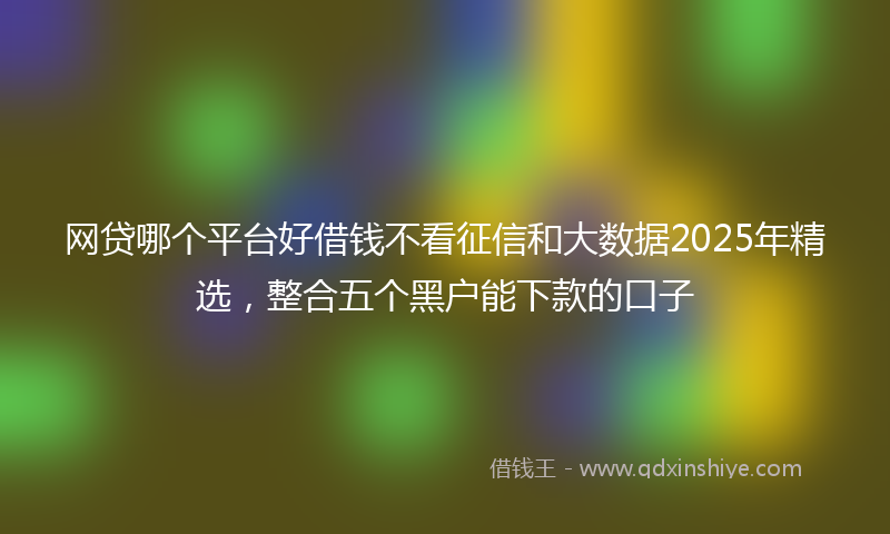 网贷哪个平台好借钱不看征信和大数据2025年精选，整合五个黑户能下款的口子