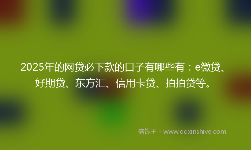 2025年的网贷必下款的口子有哪些有：e微贷、好期贷、东方汇、信用卡贷、拍拍贷等。