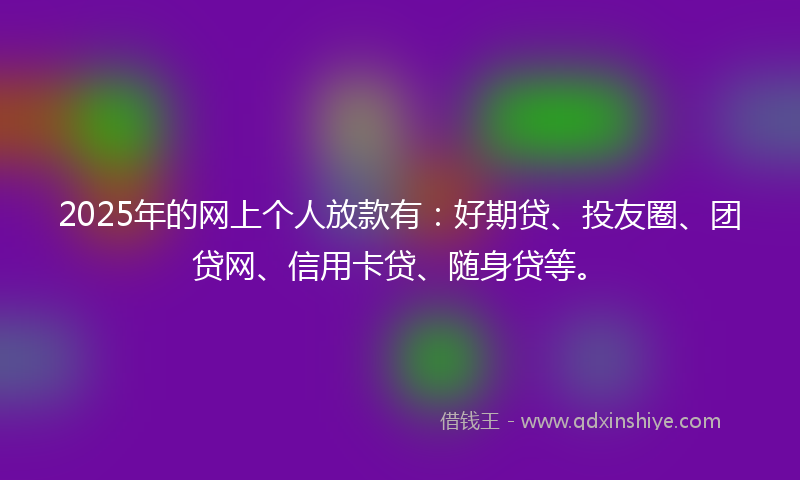 2025年的网上个人放款有：好期贷、投友圈、团贷网、信用卡贷、随身贷等。