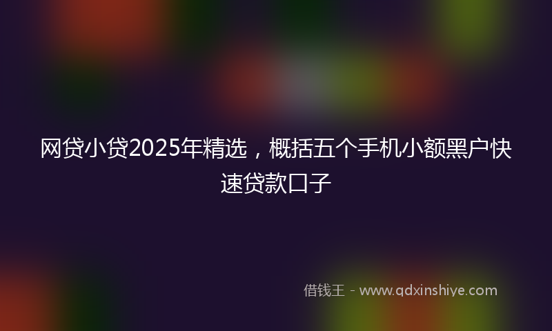 网贷小贷2025年精选，概括五个手机小额黑户快速贷款口子