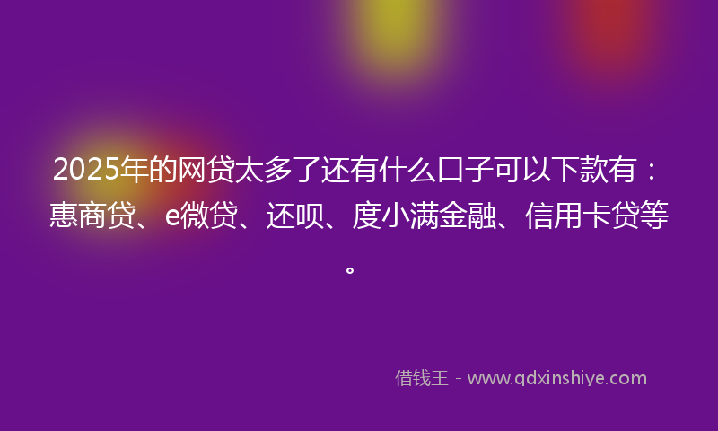 2025年的网贷太多了还有什么口子可以下款有：惠商贷、e微贷、还呗、度小满金融、信用卡贷等。