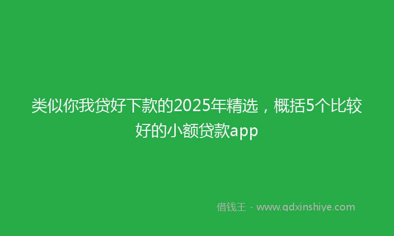 类似你我贷好下款的2025年精选，概括5个比较好的小额贷款app