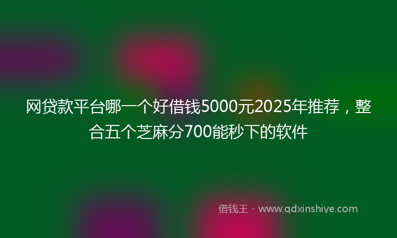 网贷款平台哪一个好借钱5000元2025年推荐，整合五个芝麻分700能秒下的软件