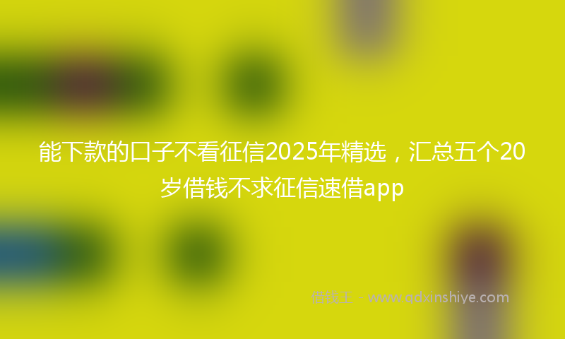 能下款的口子不看征信2025年精选，汇总五个20岁借钱不求征信速借app