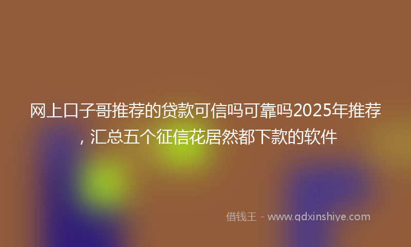 网上口子哥推荐的贷款可信吗可靠吗2025年推荐，汇总五个征信花居然都下款的软件