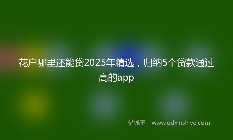 花户哪里还能贷2025年精选，归纳5个贷款通过高的app