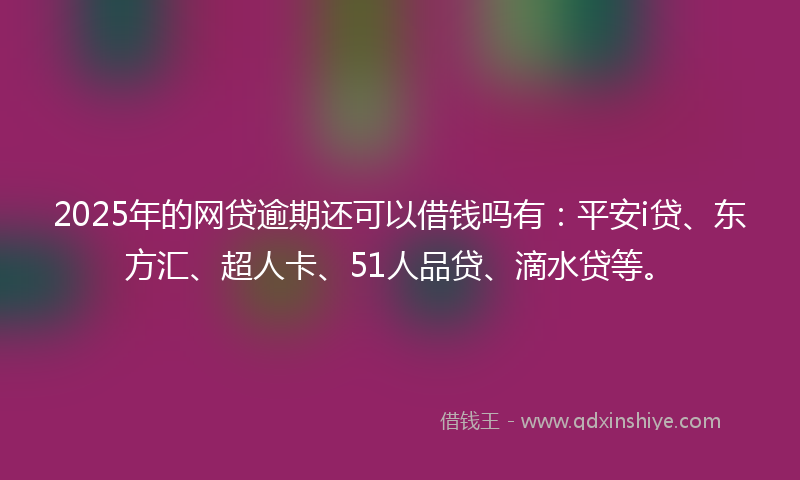 2025年的网贷逾期还可以借钱吗有：平安i贷、东方汇、超人卡、51人品贷、滴水贷等。
