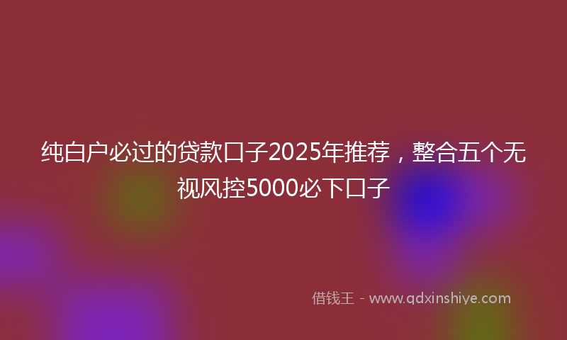 纯白户必过的贷款口子2025年推荐，整合五个无视风控5000必下口子