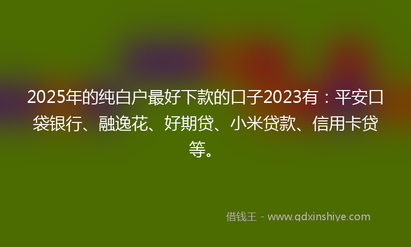 2025年的纯白户最好下款的口子2023有：平安口袋银行、融逸花、好期贷、小米贷款、信用卡贷等。