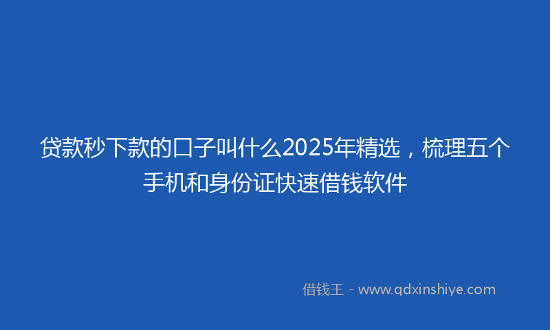 贷款秒下款的口子叫什么2025年精选，梳理五个手机和身份证快速借钱软件