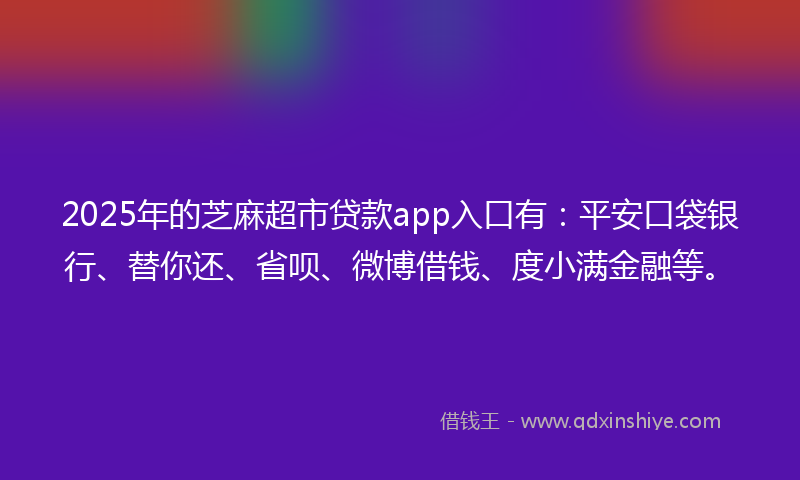 2025年的芝麻超市贷款app入口有：平安口袋银行、替你还、省呗、微博借钱、度小满金融等。