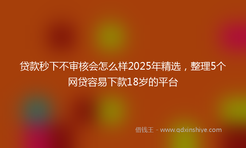 贷款秒下不审核会怎么样2025年精选，整理5个网贷容易下款18岁的平台