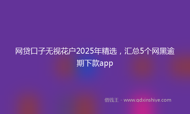 网贷口子无视花户2025年精选，汇总5个网黑逾期下款app