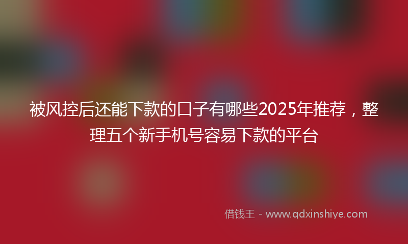 被风控后还能下款的口子有哪些2025年推荐，整理五个新手机号容易下款的平台