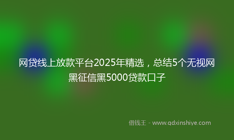 网贷线上放款平台2025年精选，总结5个无视网黑征信黑5000贷款口子