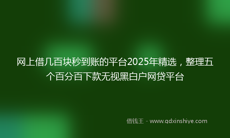 网上借几百块秒到账的平台2025年精选，整理五个百分百下款无视黑白户网贷平台