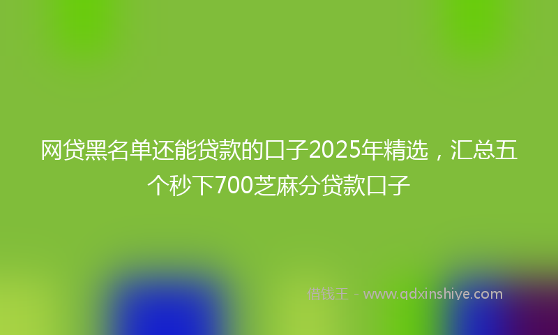 网贷黑名单还能贷款的口子2025年精选，汇总五个秒下700芝麻分贷款口子
