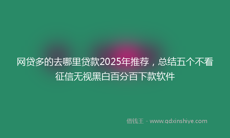 网贷多的去哪里贷款2025年推荐，总结五个不看征信无视黑白百分百下款软件