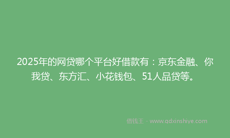2025年的网贷哪个平台好借款有：京东金融、你我贷、东方汇、小花钱包、51人品贷等。