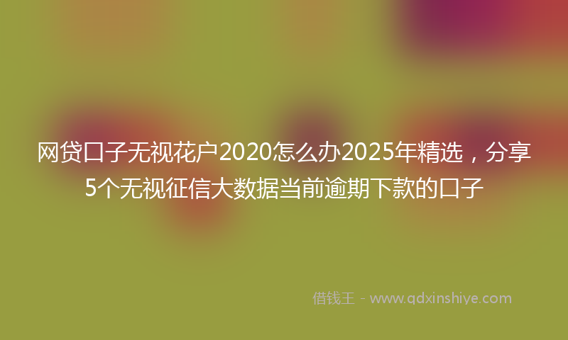 网贷口子无视花户2020怎么办2025年精选，分享5个无视征信大数据当前逾期下款的口子