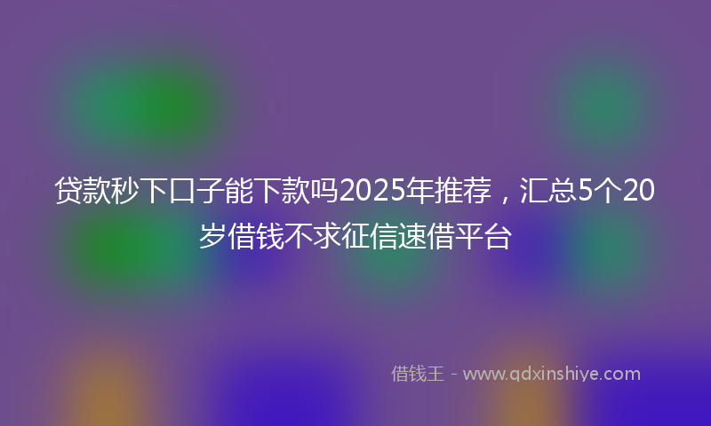 贷款秒下口子能下款吗2025年推荐，汇总5个20岁借钱不求征信速借平台