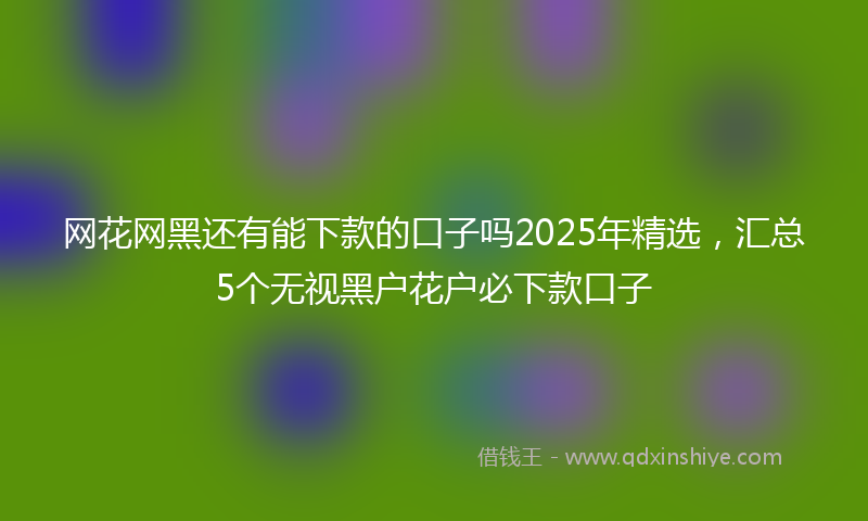 网花网黑还有能下款的口子吗2025年精选，汇总5个无视黑户花户必下款口子