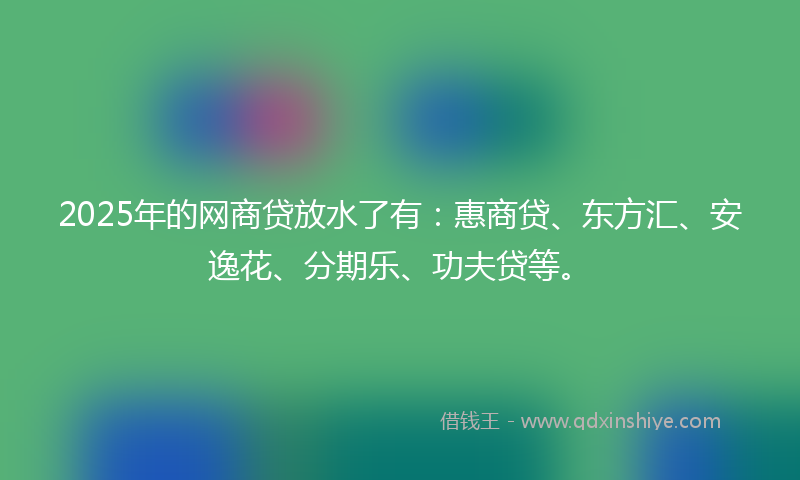 2025年的网商贷放水了有：惠商贷、东方汇、安逸花、分期乐、功夫贷等。