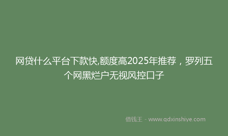 网贷什么平台下款快,额度高2025年推荐，罗列五个网黑烂户无视风控口子