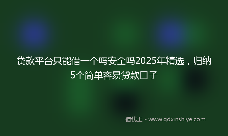 贷款平台只能借一个吗安全吗2025年精选，归纳5个简单容易贷款口子