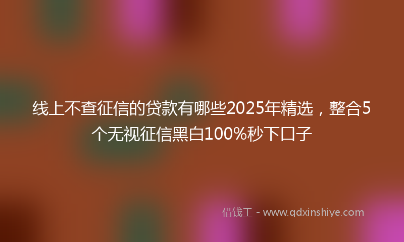 线上不查征信的贷款有哪些2025年精选，整合5个无视征信黑白100%秒下口子