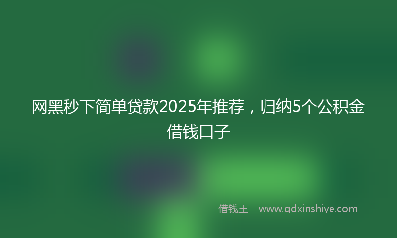 网黑秒下简单贷款2025年推荐，归纳5个公积金借钱口子