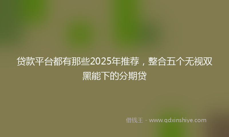 贷款平台都有那些2025年推荐，整合五个无视双黑能下的分期贷