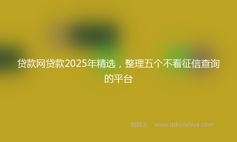 贷款网贷款2025年精选，整理五个不看征信查询的平台