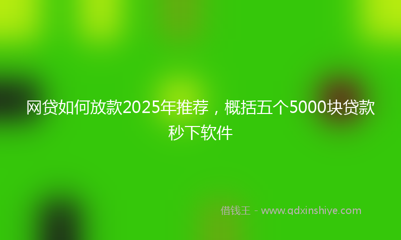 网贷如何放款2025年推荐，概括五个5000块贷款秒下软件