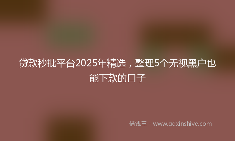 贷款秒批平台2025年精选，整理5个无视黑户也能下款的口子