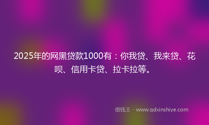 2025年的网黑贷款1000有：你我贷、我来贷、花呗、信用卡贷、拉卡拉等。