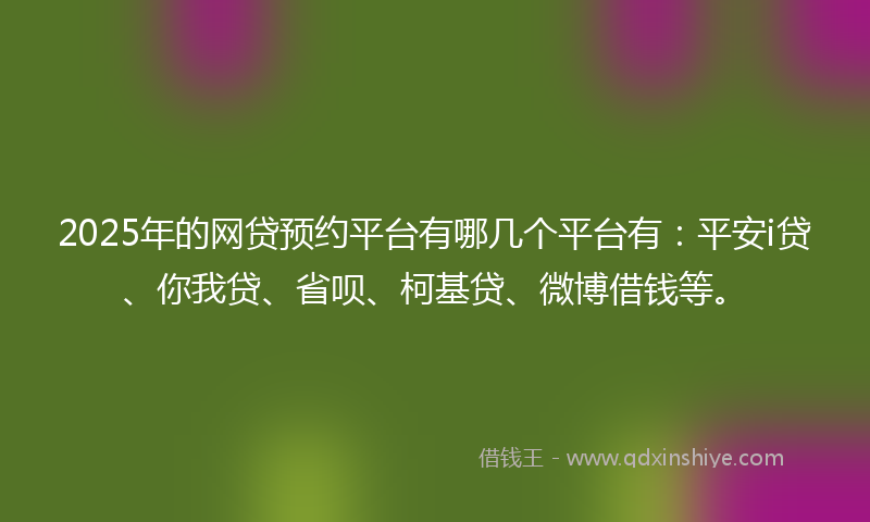 2025年的网贷预约平台有哪几个平台有：平安i贷、你我贷、省呗、柯基贷、微博借钱等。