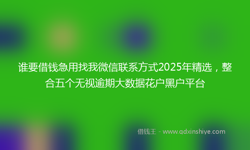 谁要借钱急用找我微信联系方式2025年精选，整合五个无视逾期大数据花户黑户平台