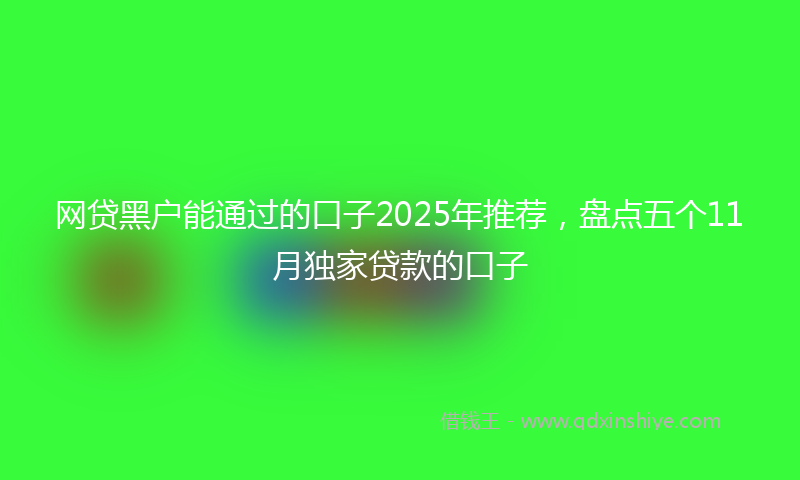 网贷黑户能通过的口子2025年推荐，盘点五个11月独家贷款的口子