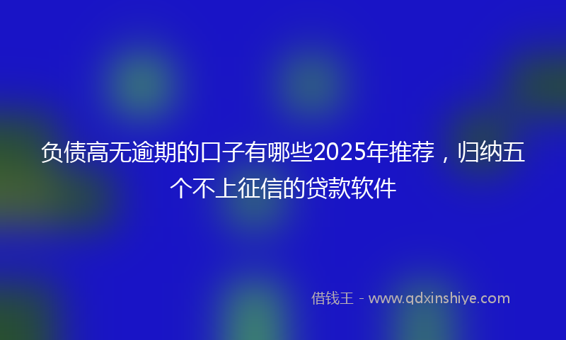 负债高无逾期的口子有哪些2025年推荐，归纳五个不上征信的贷款软件