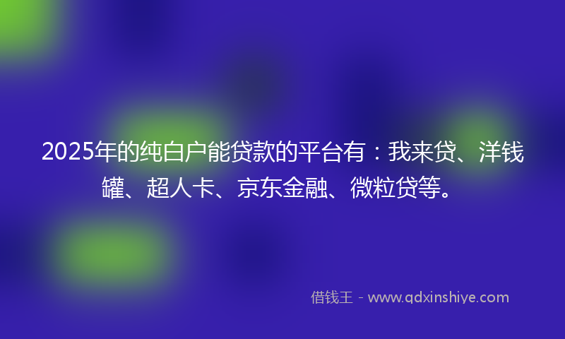 2025年的纯白户能贷款的平台有：我来贷、洋钱罐、超人卡、京东金融、微粒贷等。