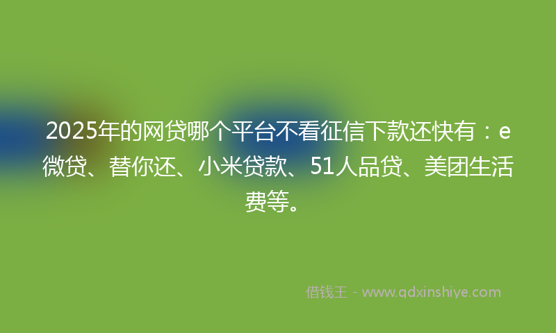 2025年的网贷哪个平台不看征信下款还快有：e微贷、替你还、小米贷款、51人品贷、美团生活费等。