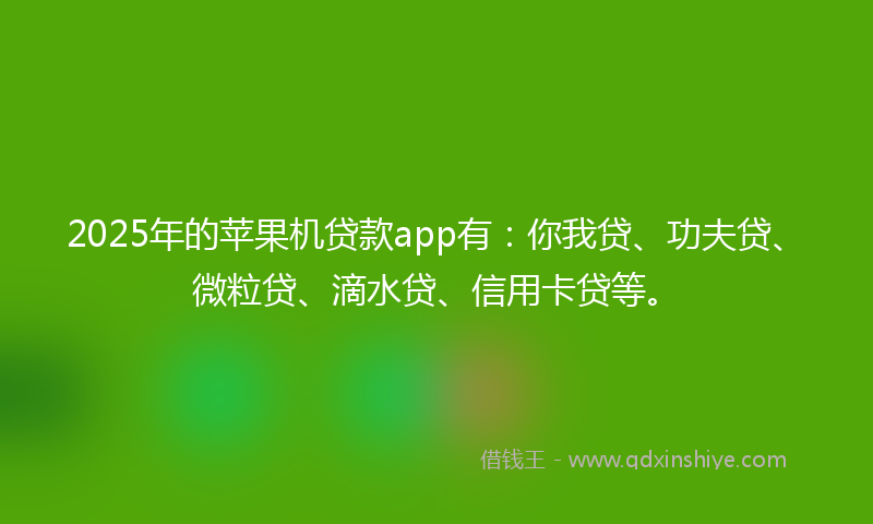 2025年的苹果机贷款app有：你我贷、功夫贷、微粒贷、滴水贷、信用卡贷等。