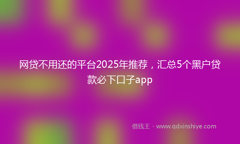 网贷不用还的平台2025年推荐，汇总5个黑户贷款必下口子app