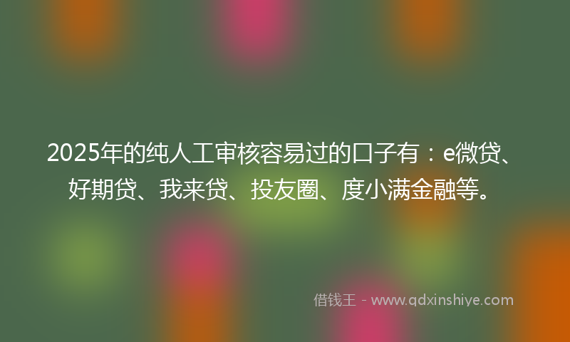 2025年的纯人工审核容易过的口子有：e微贷、好期贷、我来贷、投友圈、度小满金融等。