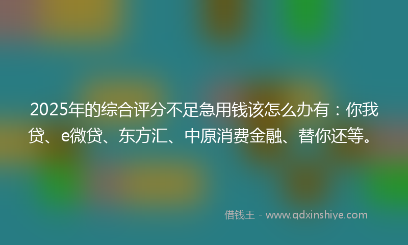 2025年的综合评分不足急用钱该怎么办有：你我贷、e微贷、东方汇、中原消费金融、替你还等。