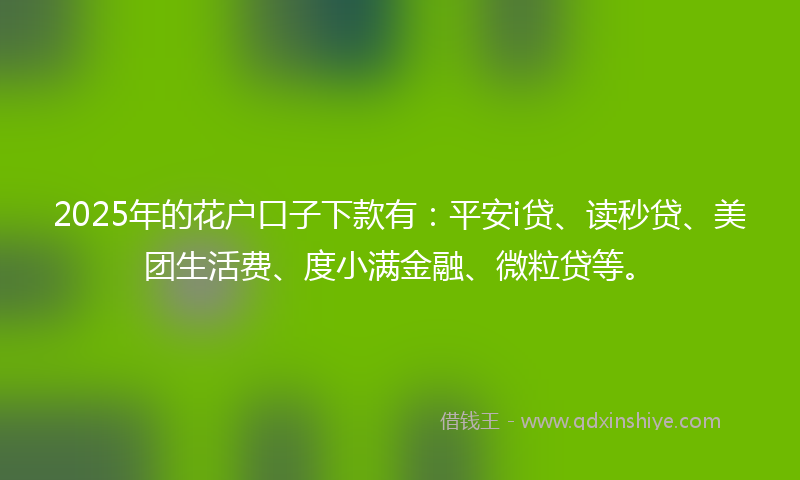 2025年的花户口子下款有：平安i贷、读秒贷、美团生活费、度小满金融、微粒贷等。