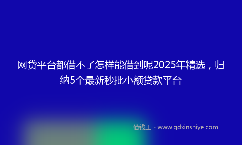 网贷平台都借不了怎样能借到呢2025年精选，归纳5个最新秒批小额贷款平台